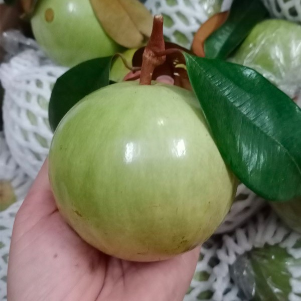 (HỘ KINH DOANH) LÊ VĂN TOÀN