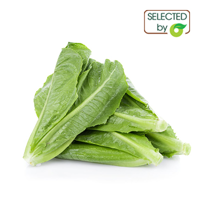 (HỘ KINH DOANH) LÊ VĂN TOÀN