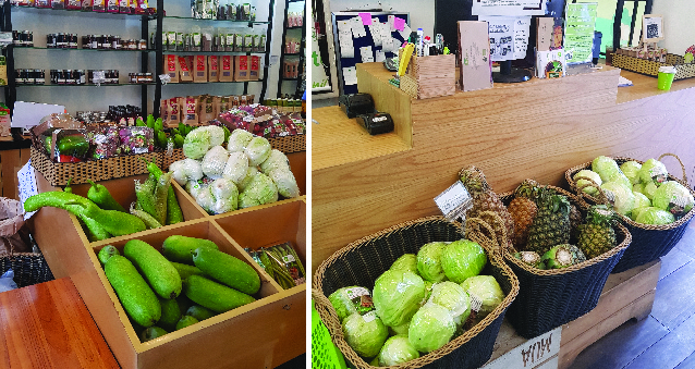 (HỘ KINH DOANH) LÊ VĂN TOÀN