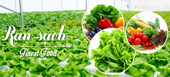 (HỘ KINH DOANH) LÊ VĂN TOÀN